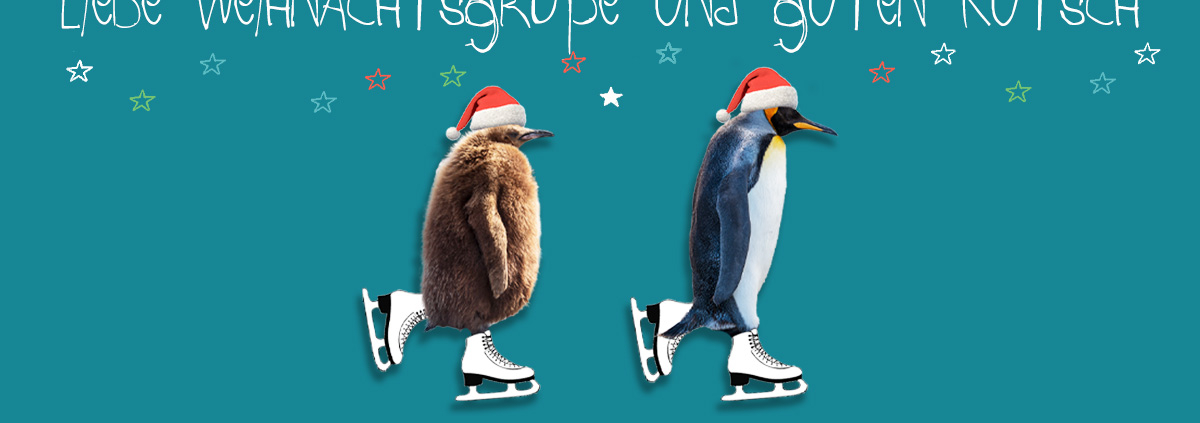 Liebe Weihnachtsgrüße und einen guten Rutsch